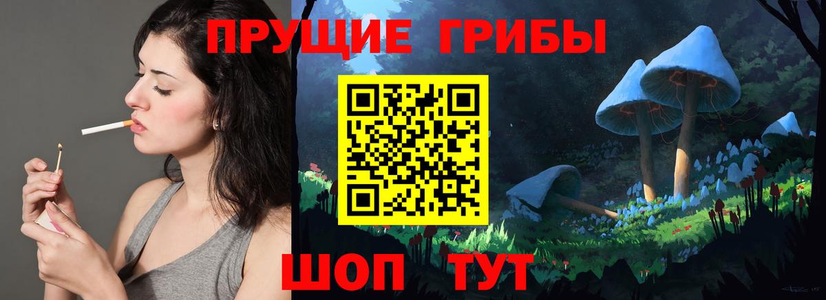 Нарьян-Мар  Галлюциногенные грибы Psilocybine cubensis  Вход с VPN  Галлюциногенные грибы Psilocybe 